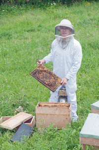 collections/Moynihans_Honey.jpg