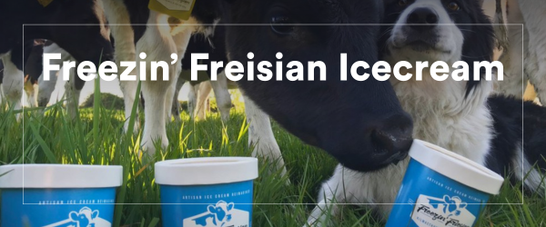 articles/Freezin_Friesian_Ice_Cream.png