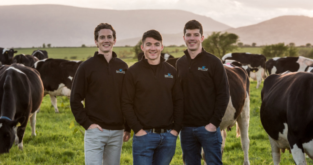 Freezin' Friesian Icecream