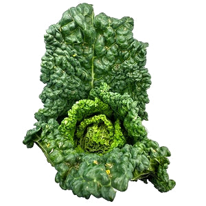 Des & Olive Thorpe's Organic Savoy Cabbage
