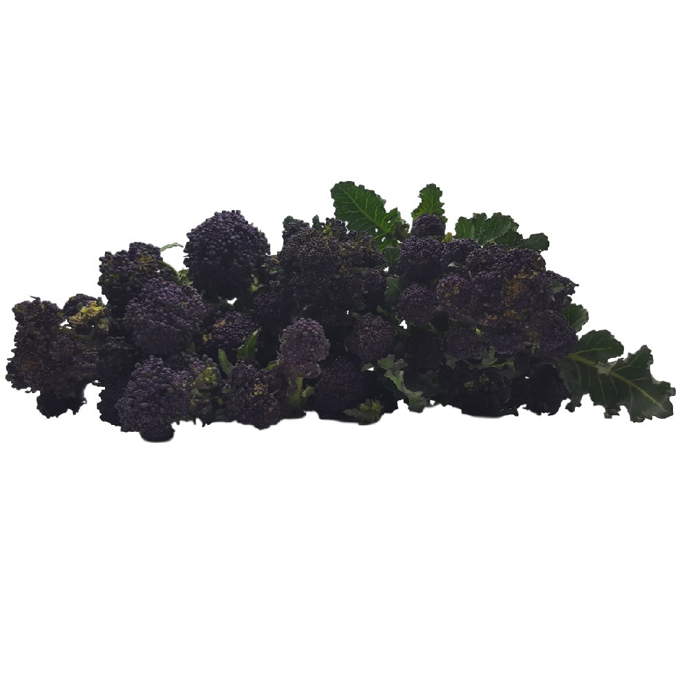 Tom Cleary&#39;s Purple Sprouting Broccoli